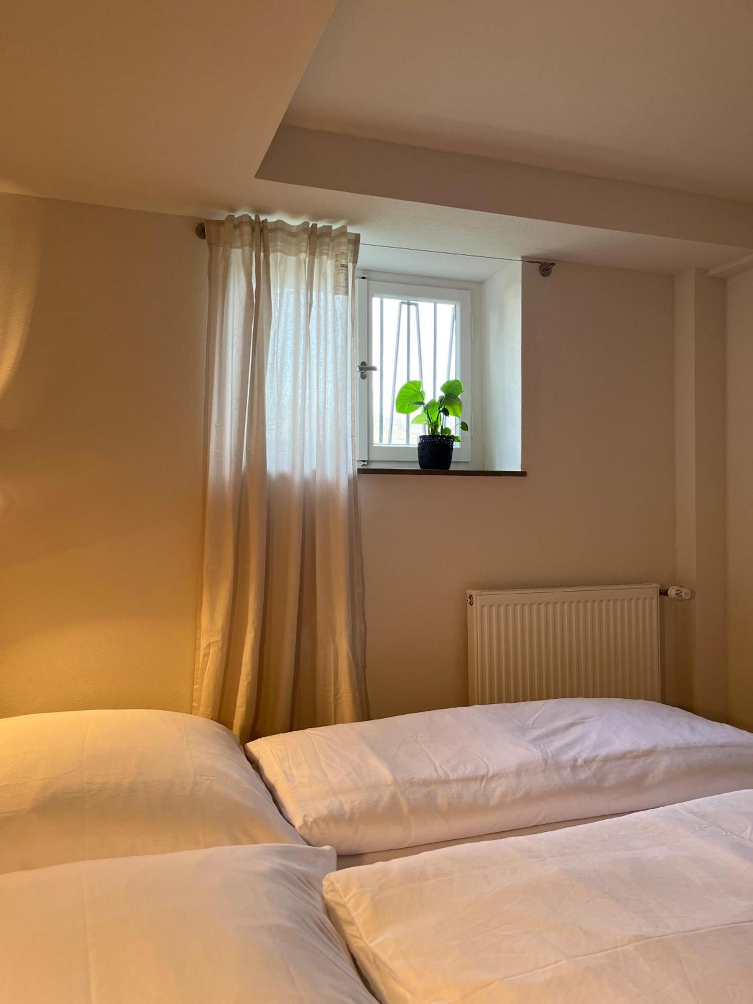 Kolberg Studio - Moderne Ferienwohnung In 博帕德 外观 照片
